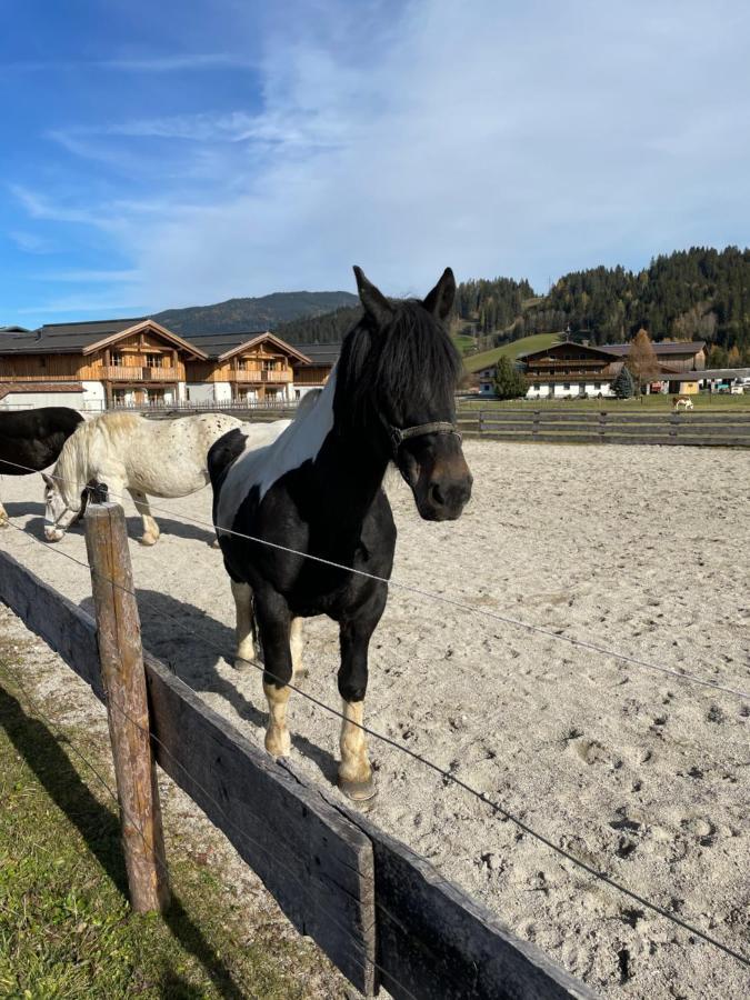 Sieglhub Chalets - Appartements - Hotel 3*